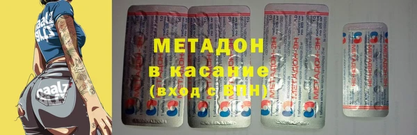 индика Алексин