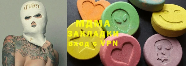 индика Алексин