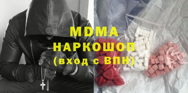 индика Алексин