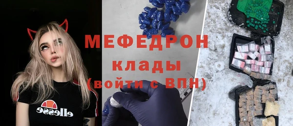 индика Алексин