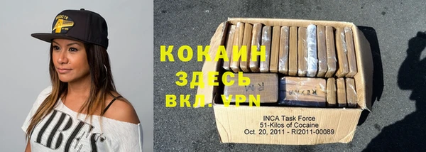 индика Алексин