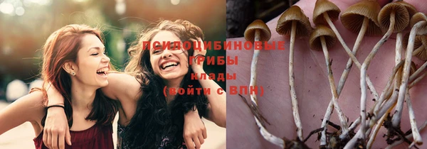 индика Алексин
